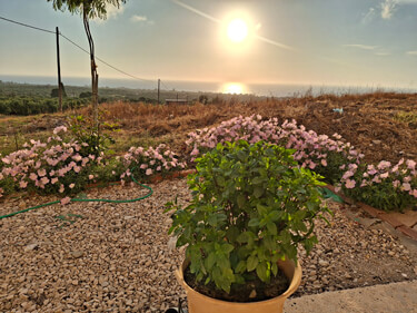 Sunset view